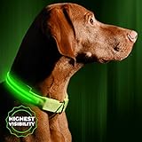 Illumiseen - Collar de Perro LED Recargable por USB, Disponible en 6 Colores y 6 tamaños